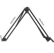 Neewer Professional Recording Microphone