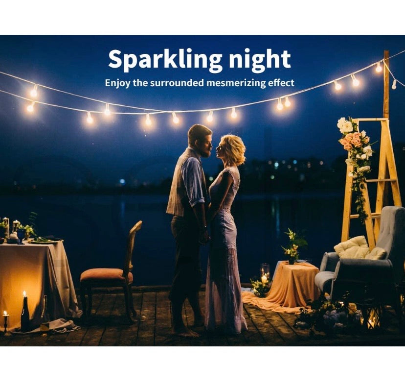 String Lights 20M