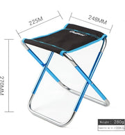 Portable Folding Camping Chairs- Set of 2