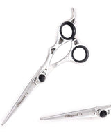 Professional Hair Cutting Shears Set