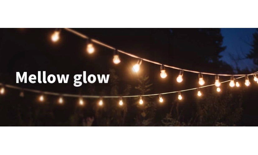 String Lights 20M