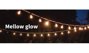 String Lights 20M