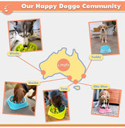 Dog Bowl Slow Feeder