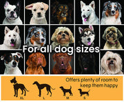 4 × 4 m Chain-Link Dog Kennel Run with Shade Cover