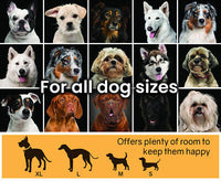 4 × 4 m Chain-Link Dog Kennel Run with Shade Cover