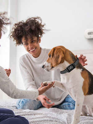 Anti Bark Dog Training Collar Sound&Vibration Stop Barking Automatic Pet