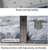 Rainlin Soft Fluffy Modern Living Room Area Rug