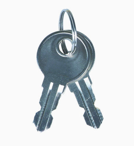 Key Cabinet, 50 Keys