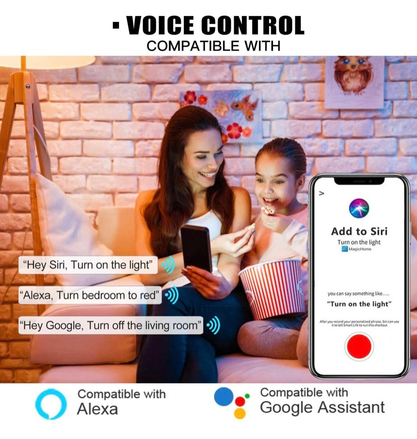 Smart Light