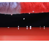 Miracle Magnetic Duster with Long Extension Pole