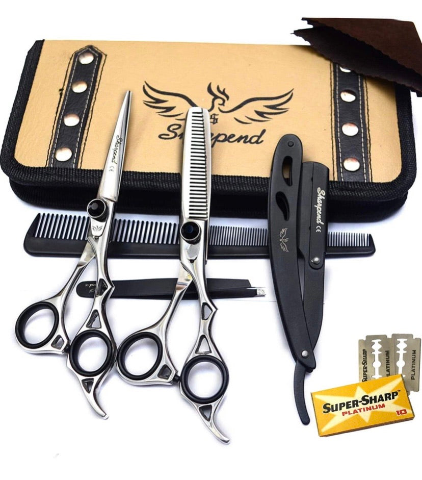 Professional Hair Cutting Shears Set