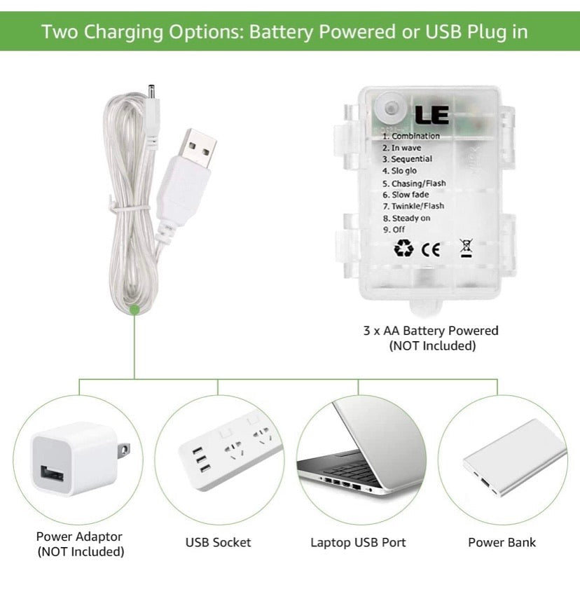 LED Window String Fairy Lights USB & Battery Powered with Remote Control Daylight White