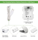 LED Window String Fairy Lights USB & Battery Powered with Remote Control Daylight White
