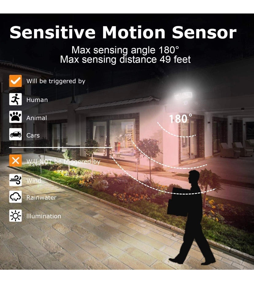 Dual-Head Solar Motion Sensor Security Light
