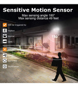 Dual-Head Solar Motion Sensor Security Light