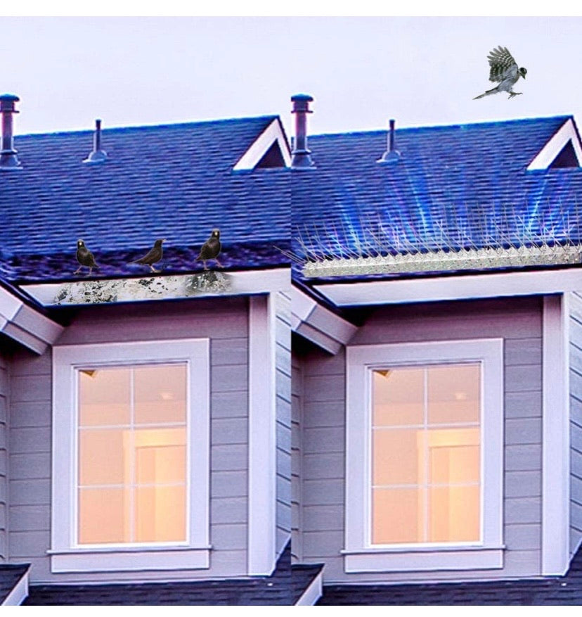 Flexible Stainless Steel Bird Spikes with Plastic Base- (3ft)