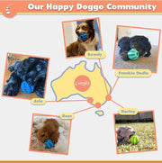 Interactive Dog Treat Puzzle Ball – Small & Large