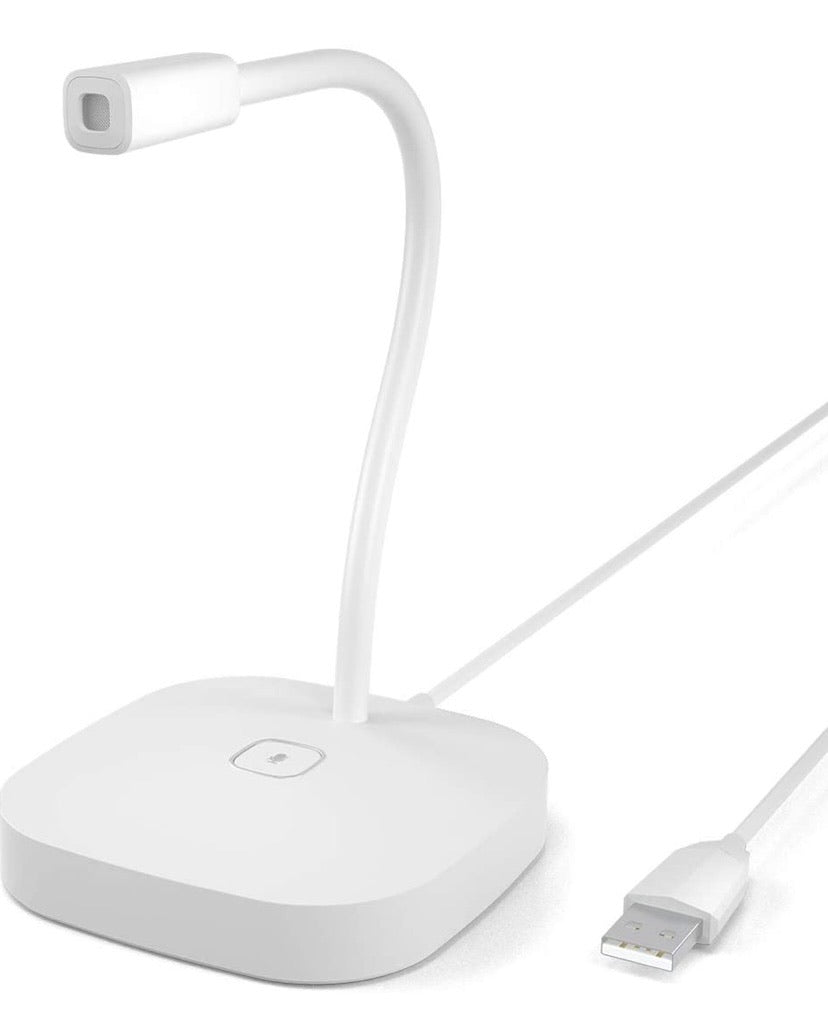 Computer Mic