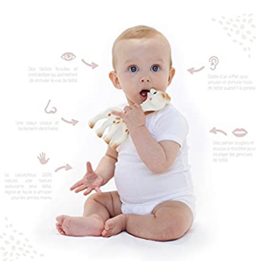 Sophie the Giraffe Teething Toy