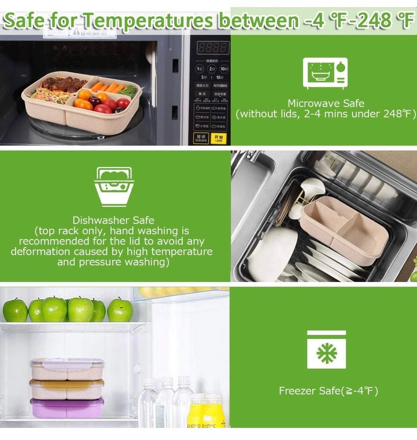 Lunch Box