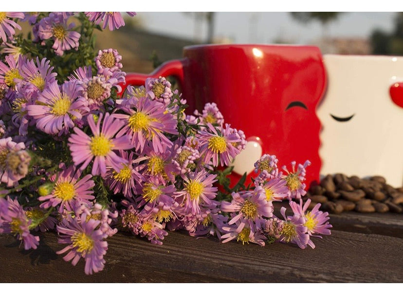 Kissing Coffee Mug Bridal Set